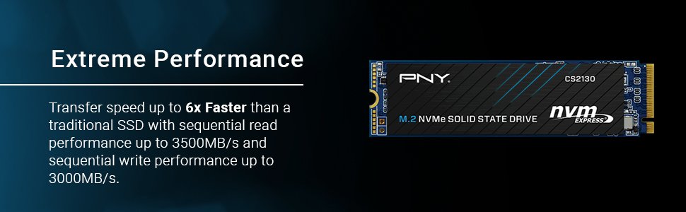 PNY CS2130 - SSD - 1 To - interne - M.2 2280 - PCIe 3.0 x4 (NVMe