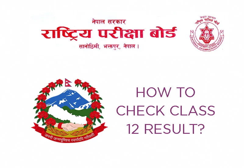 how to check class 12 result