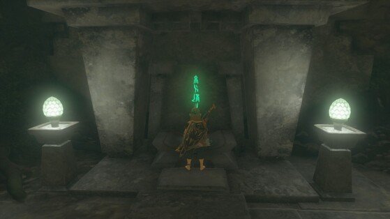 The Legend of Zelda: Tears of the Kingdom