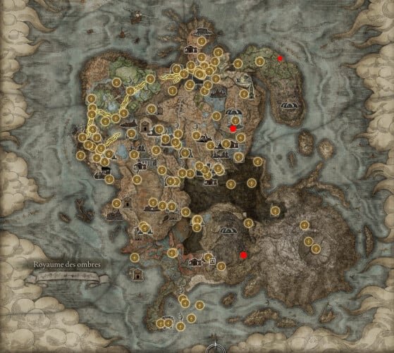 Memory Duplication Coffins Map - Elden Ring Shadow of the Erdtree