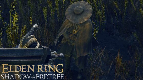 Elden Ring Shadow of the Erdtree